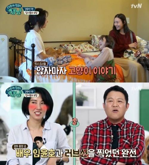 tvN '대화가 필요한 개냥'