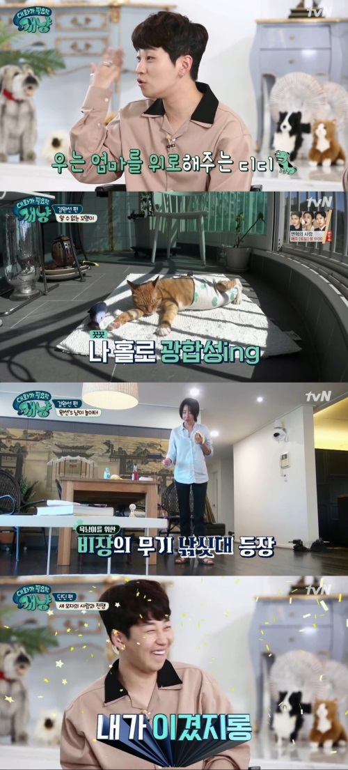 tvN '대화가 필요한 개냥'
