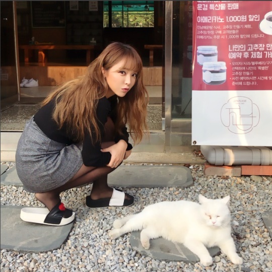 홍진영 인스타그램