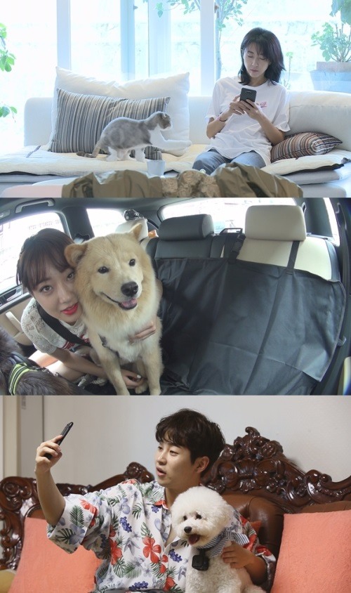 TVN 제공