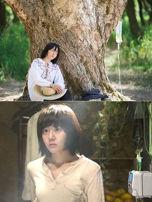 영화 '유리정원' 스틸