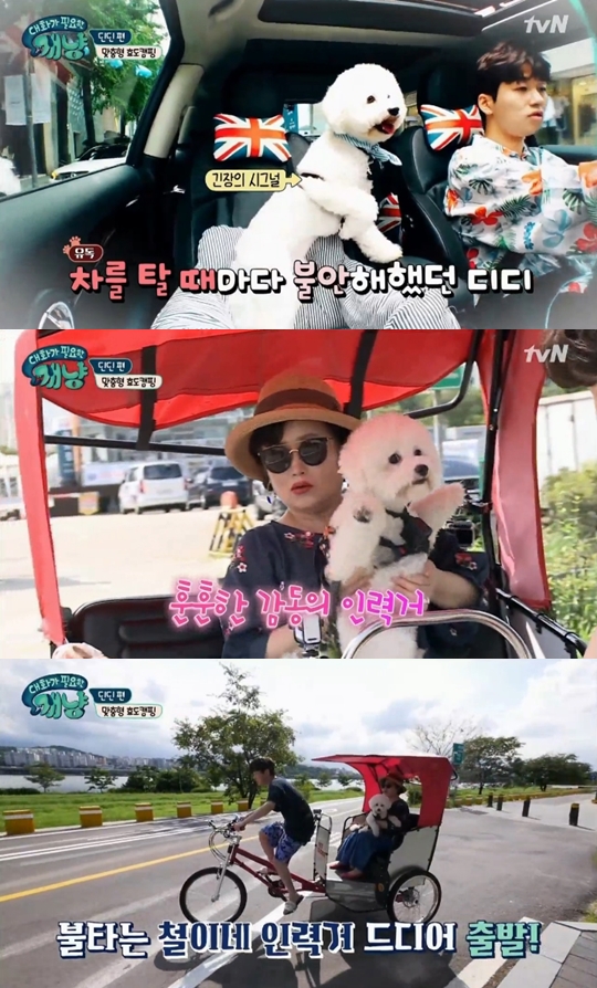 방송화면 캡처