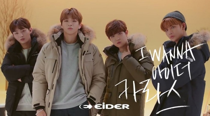 (Eider)