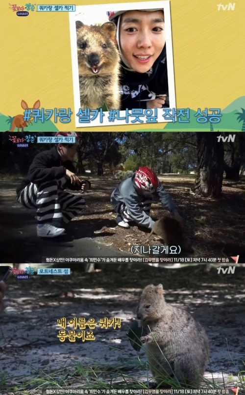 방송화면 캡처