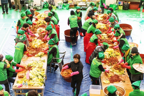 울릉군 새마을 부녀회가 정성담긴 600포기의 김장김치를 만들어  소외계층 250세대에 전달하며 새마을 운동 정신을 실천했다.(울릉군 제공)
