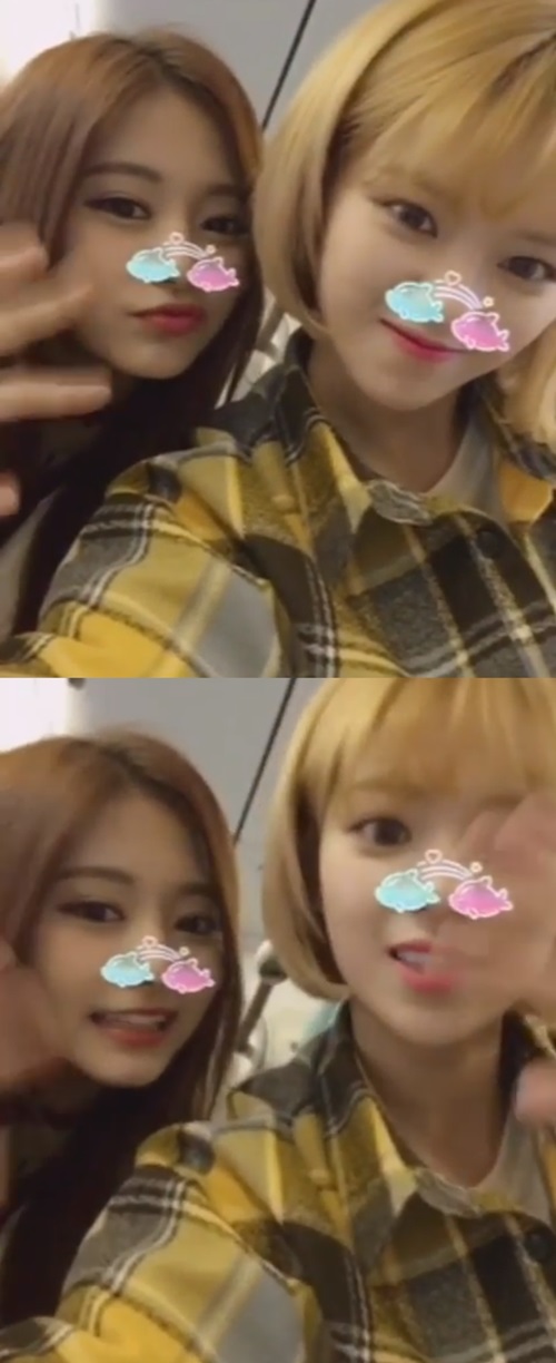 트와이스 인스타그램