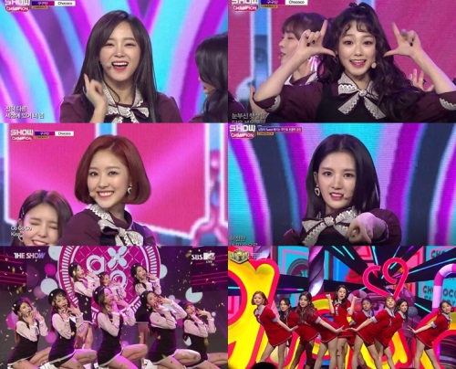젤리피쉬 제공