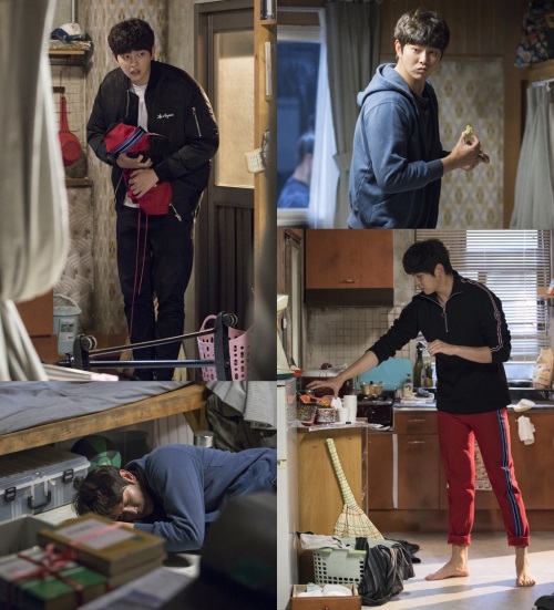 SBS 제공