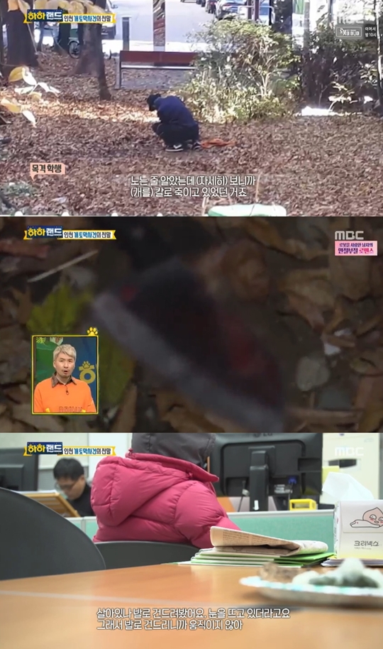 하하랜드 캡처