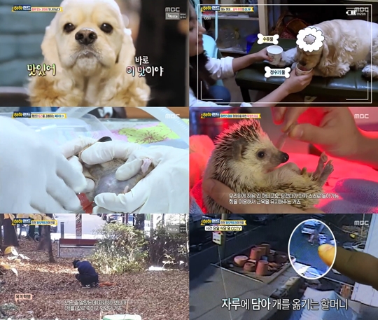 하하랜드 방송 캡처