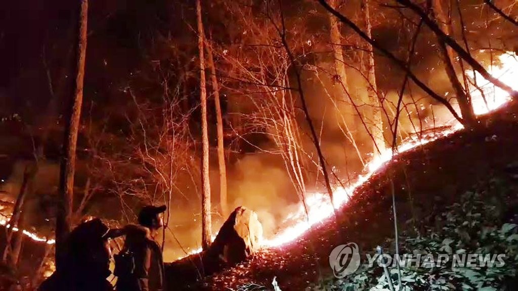 기장 산불(사진=연합뉴스)
