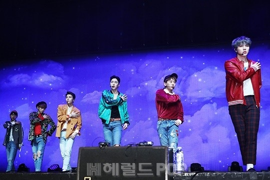 헤럴드 pop DB