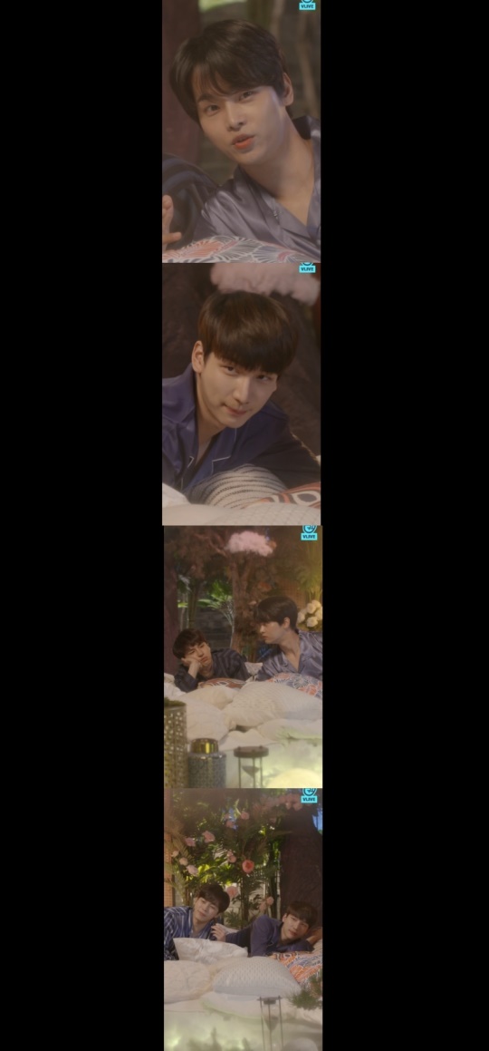 네이버 'V앱' 제공