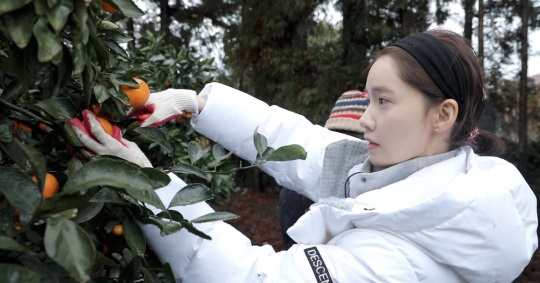 JTBC '효리네 민박2' 제공