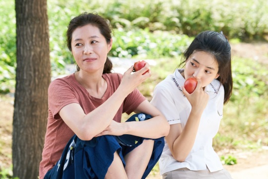 리틀 포레스트 제공
