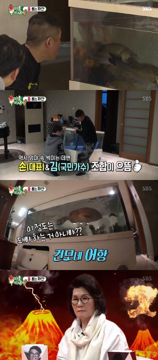 [SBS='미운 우리 새끼'캡쳐]