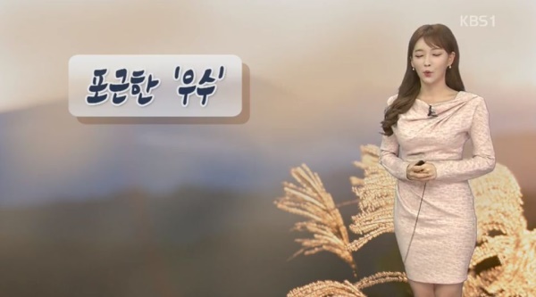우수(사진=KBS 뉴스 캡처)