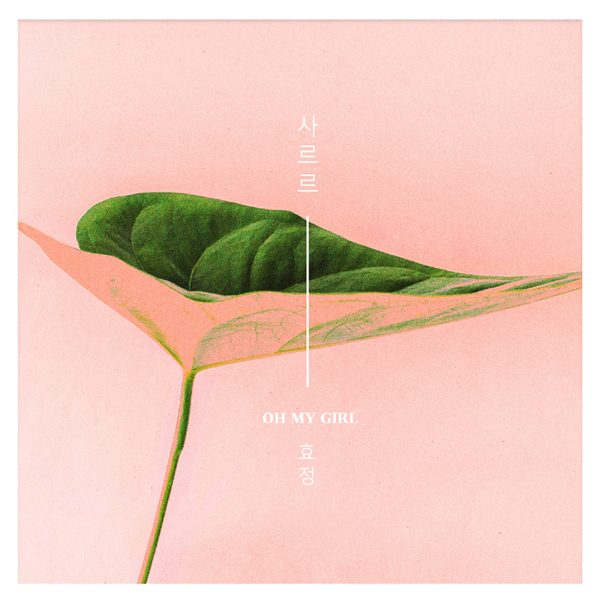 사진=더하기미디어 제공.