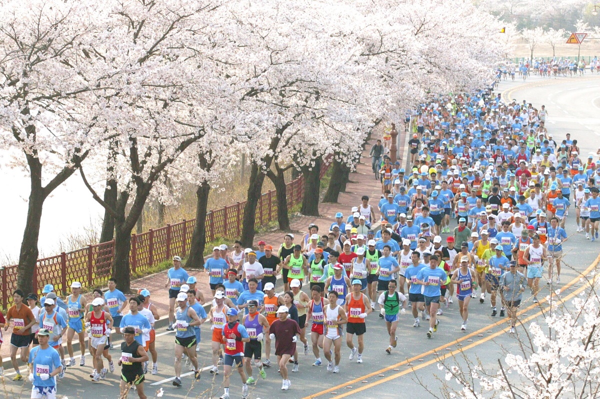 제26회 경주벚꽃마라톤대회 모습(사진제공=경주시)