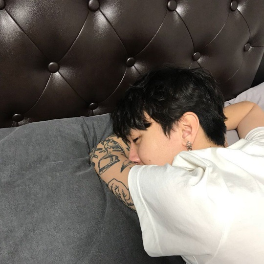 해쉬스완 인스타
