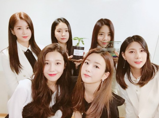 에이핑크 공식 트위터