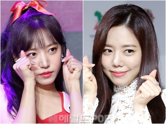 헤럴드POP DB
