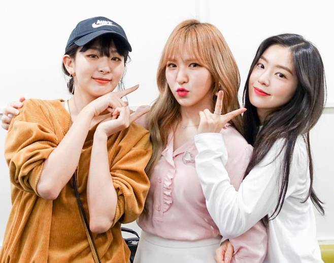 아이린(사진=레드벨벳 SNS)
