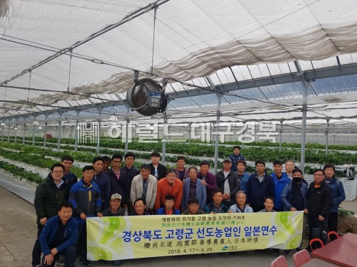 고령군은 17~20일까지 일본 규슈지역 일대의 선진농업 연수를 실시한다. (고령군 제공)