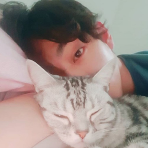 안효섭 인스타