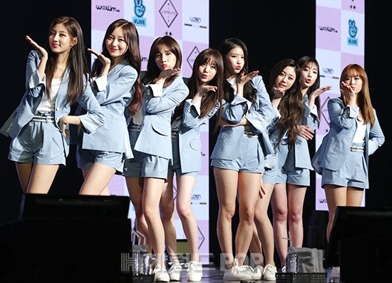 헤럴드POP DB