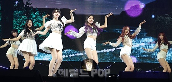 헤럴드POP DB