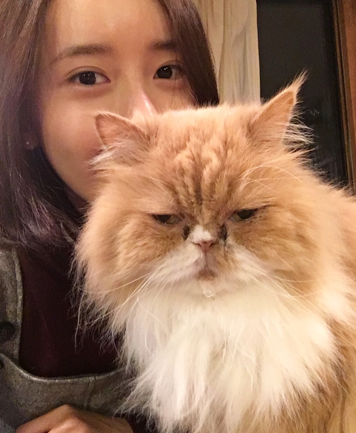 윤아 인스타그램