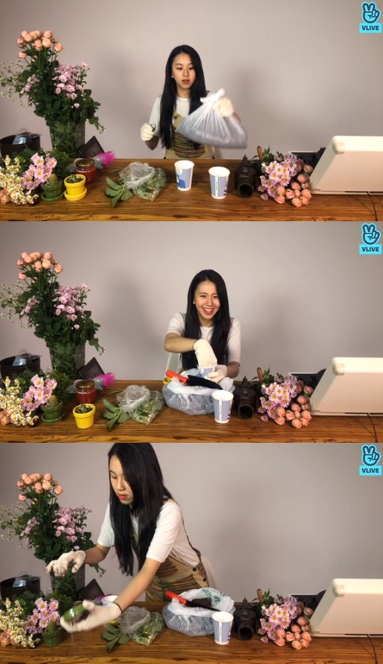 [V앱='트와이스 채영의 스트로베리 팜'캡쳐]