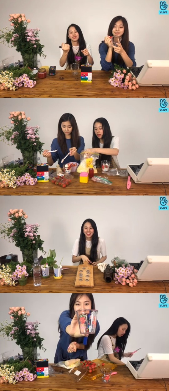 [V앱='트와이스 채영의 스트로베리 팜'캡쳐]