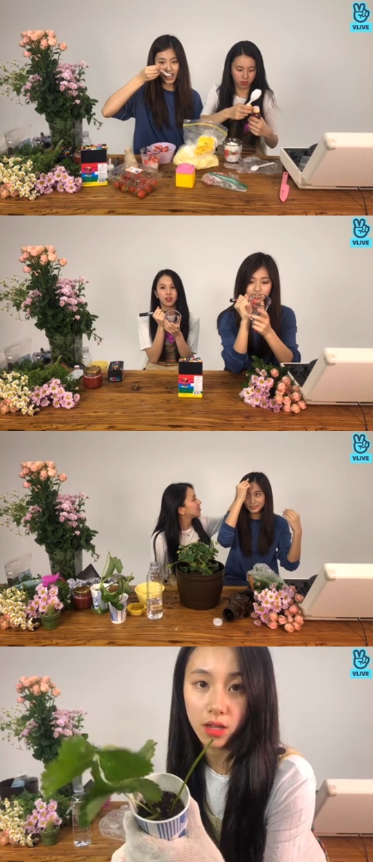 [V앱='트와이스 채영의 스트로베리 팜'캡쳐]