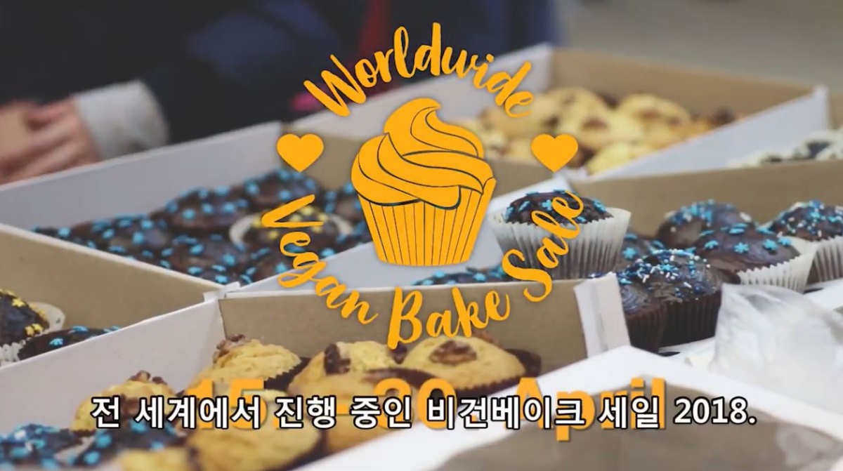 한국서 열린 '비건베이크 세일'에 참가해보니...