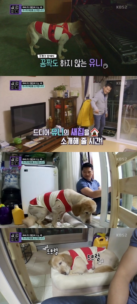 [KBS2='셀럽피디'캡쳐]