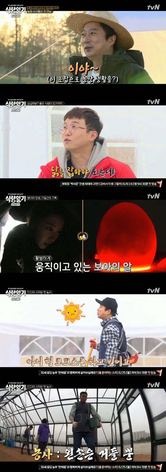 식량일기 닭볶음탕편 캡처