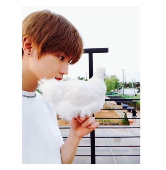 NCT 공식 인스타그램