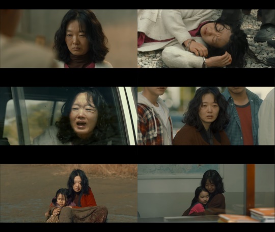 씨제스 제공