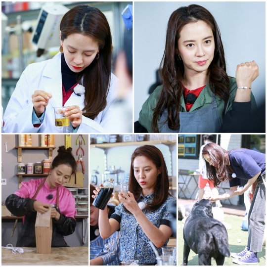 마이콘텐츠 제공