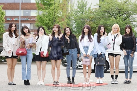 트와이스/헤럴드팝DB