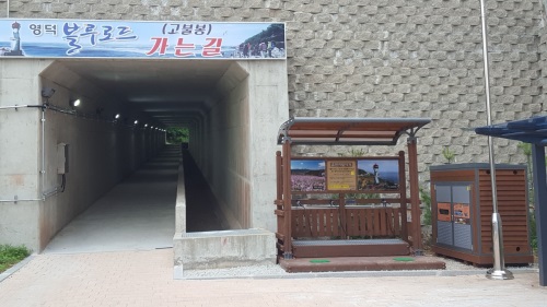 영덕군은 내달 말까지 지역내 등산로를 정비한다. 사진은 영덕역사와 바로 연결되는 고불봉 진입 등산로 모습. (영덕군 제공)