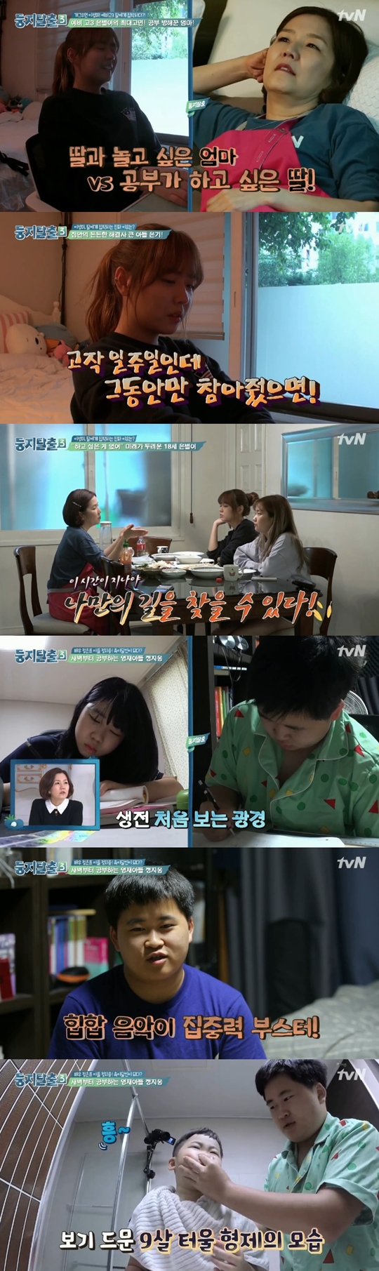 둥지탈출3 캡처