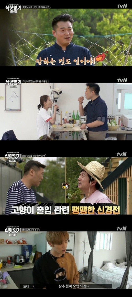 [사진='식량일기'캡쳐]