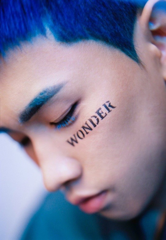 Teaser image of “Wonderlost” (Amoeba Culture)