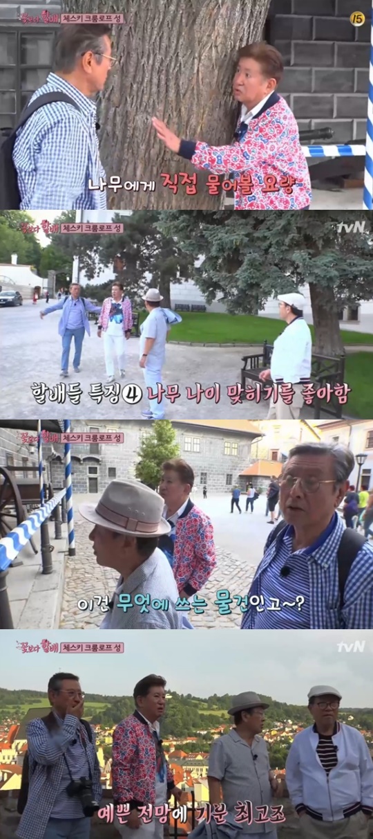 [tvN='꽃보다 할배'캡쳐]