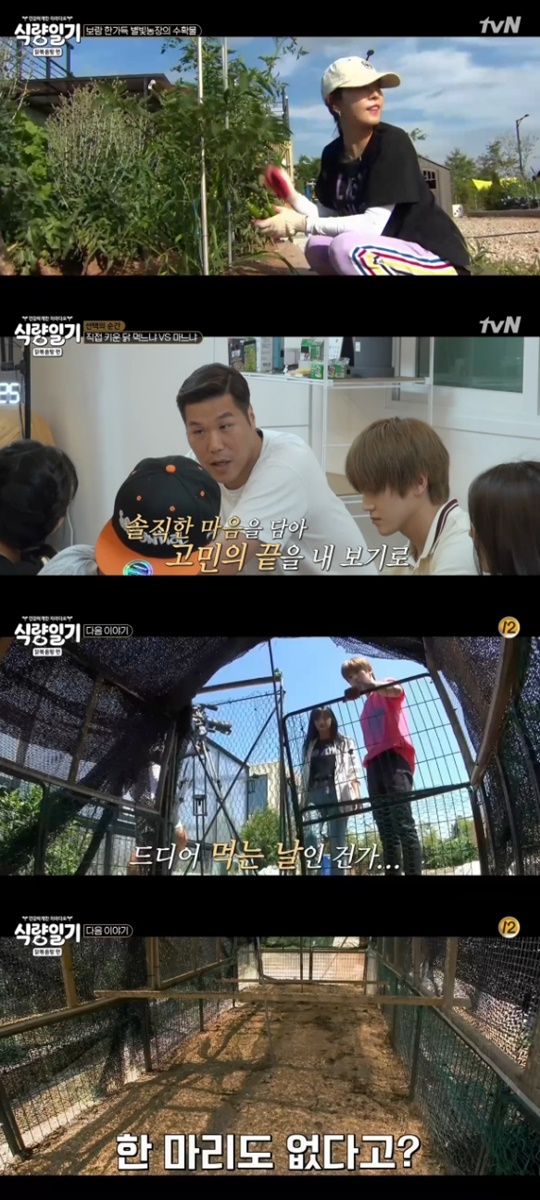 [tvN='식량일기'캡쳐]