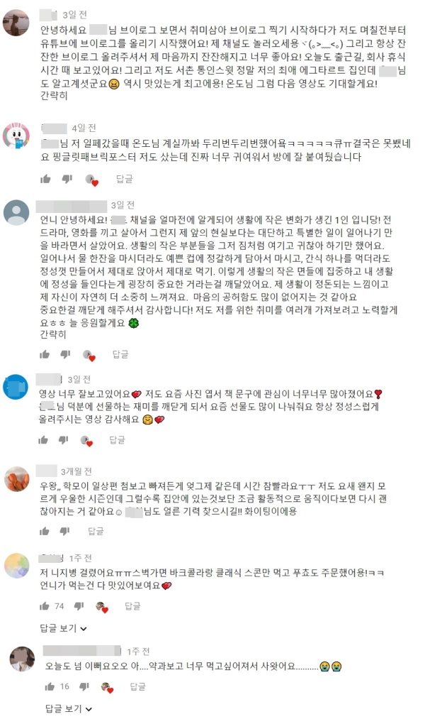 (사진=유튜브 내 여러 브이로그 콘텐츠에 달린 댓글 캡처)