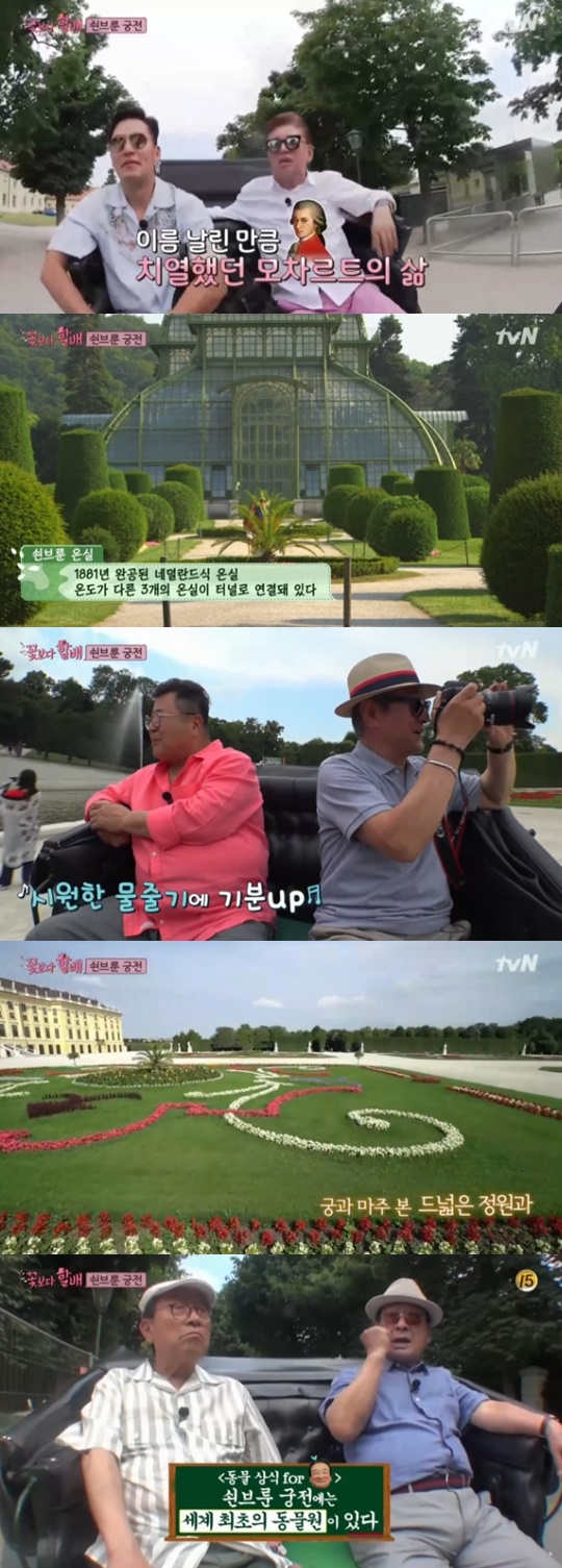 [tvN='꽃보다 할배'캡쳐]